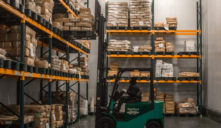 Fashion & Lifestyle, Electronics & Technology